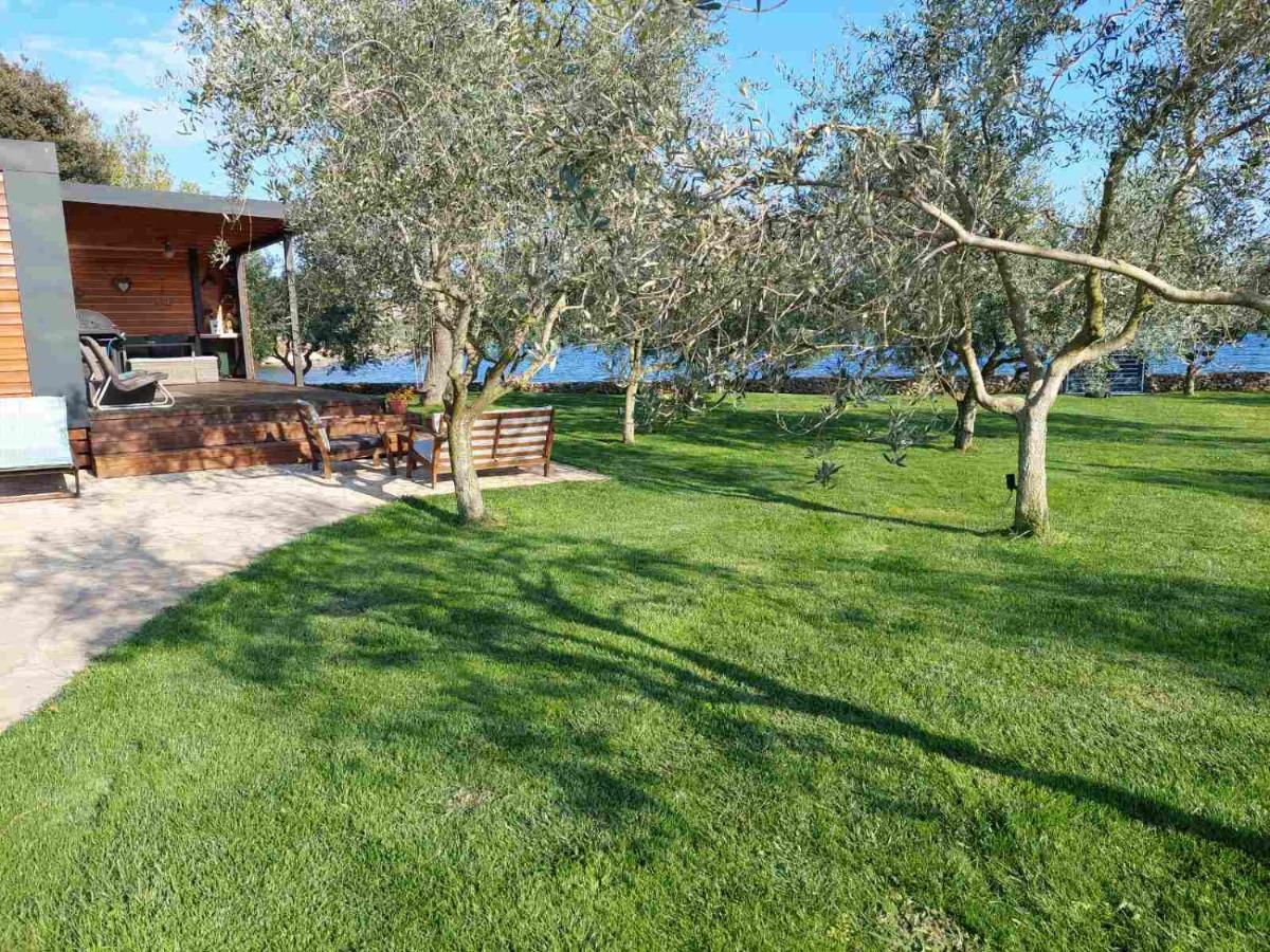 Beach House Ive With Jacuzzi, Pool, Playground And Bbq In An Olive Grove With A Beach, Pomer - Istria المظهر الخارجي الصورة