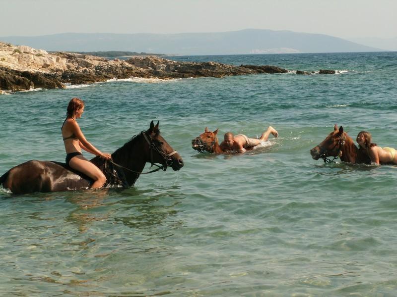 Beach House Ive With Jacuzzi, Pool, Playground And Bbq In An Olive Grove With A Beach, Pomer - Istria المظهر الخارجي الصورة